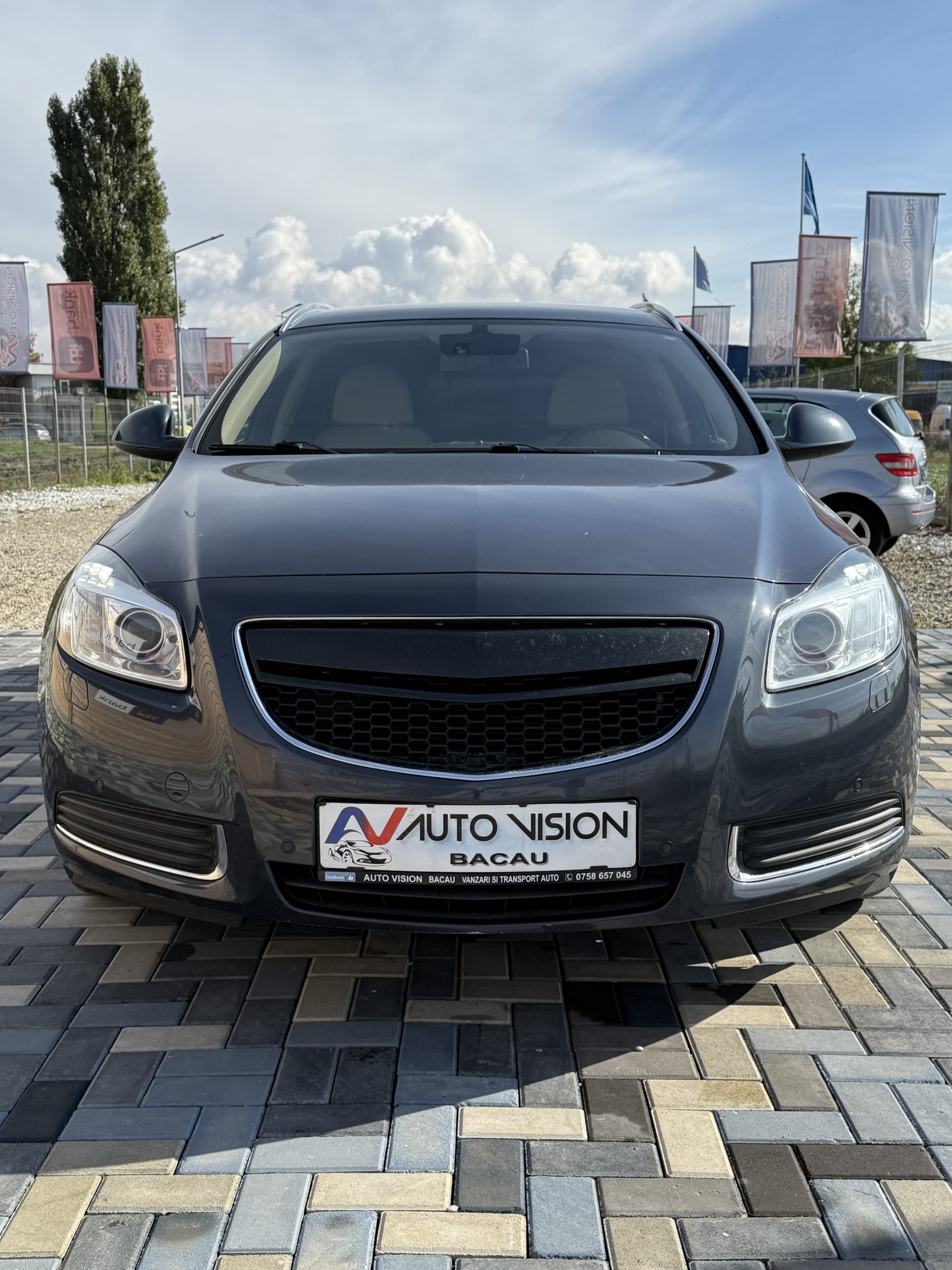 Opel Insignia 2.0 Benzina 220Cp 2009 E5 FULL Piele Impecabila!