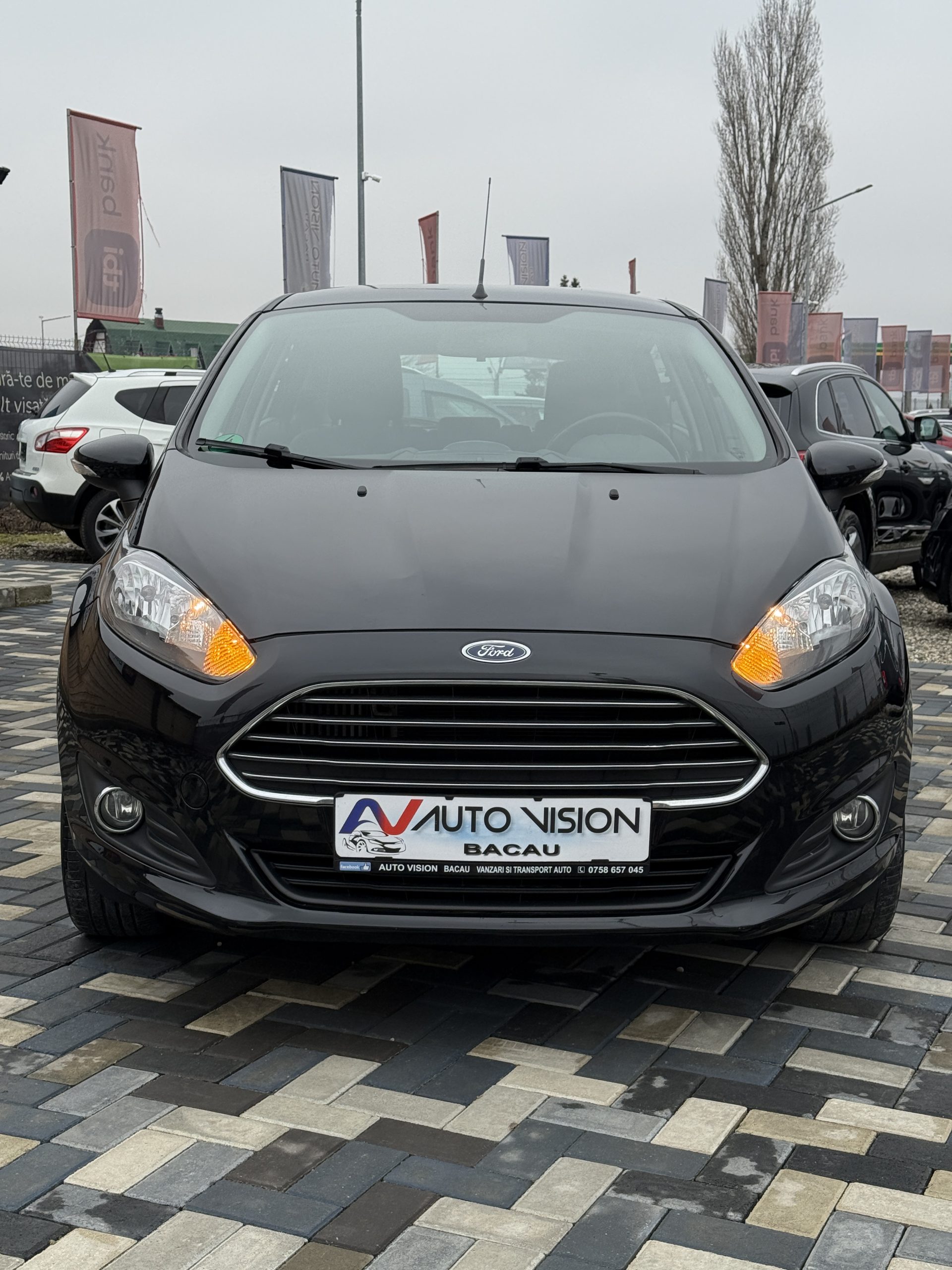 Ford Fiesta 1.0ecoboost benzina 12/2015 E6 Km reali Impecabila!